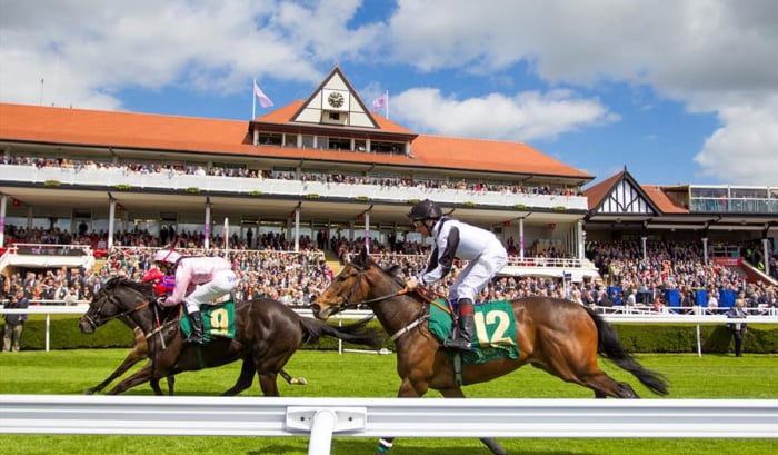 Chester Races Transfer Service